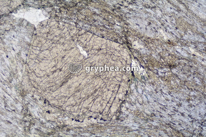 Schiste à grenats et glaucophane LPNA x6,3 - gryphea.com
